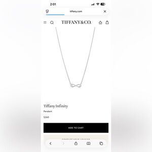 Tiffany & Co. Infinity Necklace